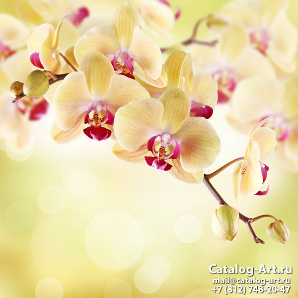 Натяжные потолки с фотопечатью - Желтые и бежевые орхидеи 15